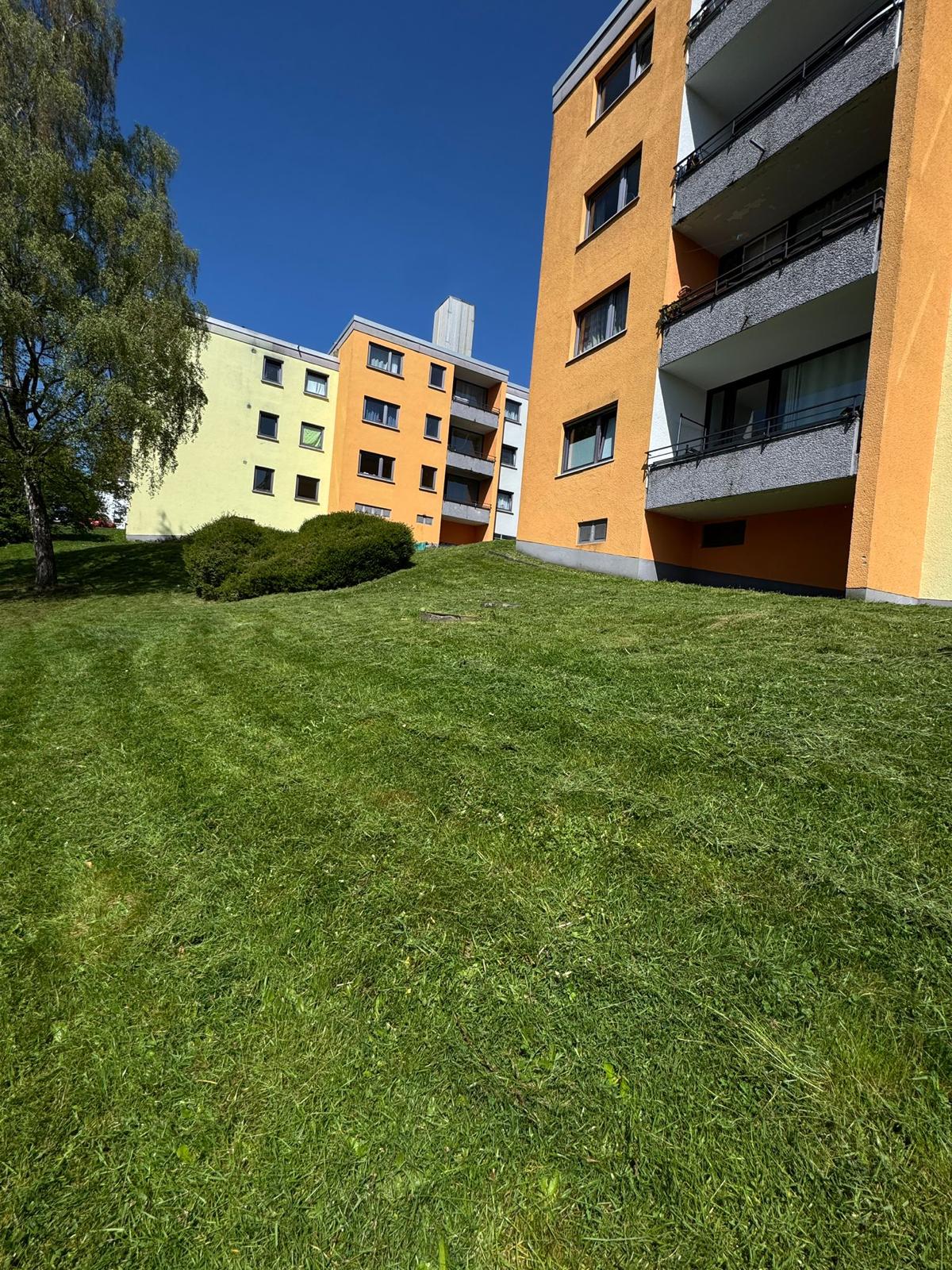 Grünpflege — nachher