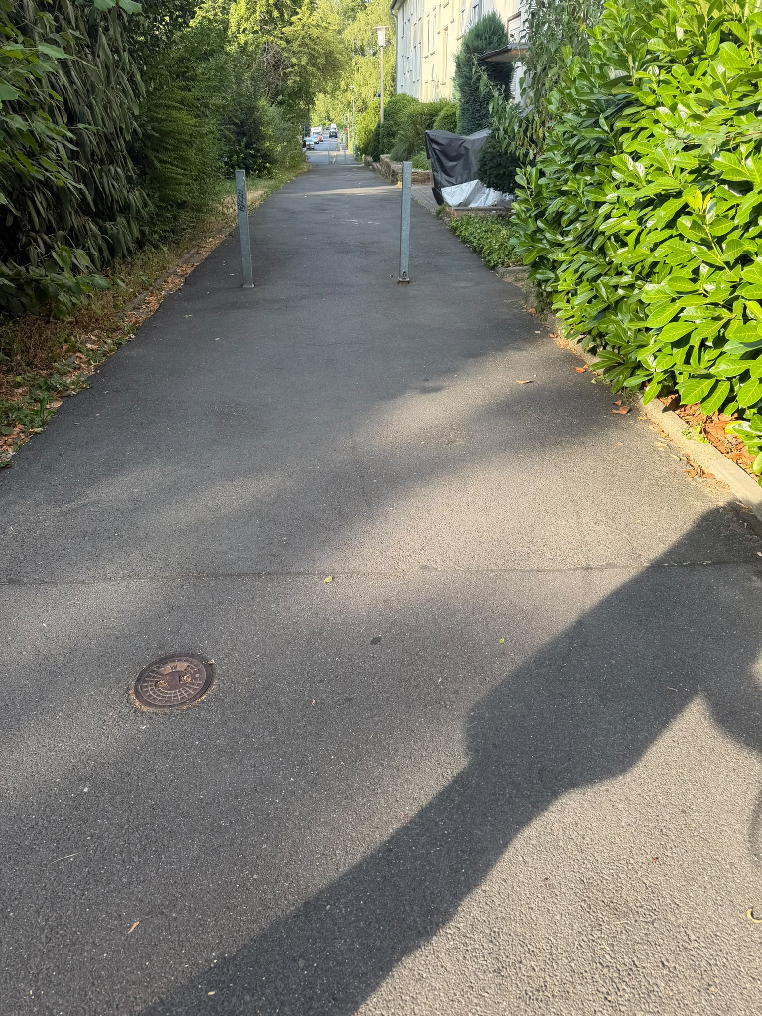 Sauberer asphaltierter Weg — referenz