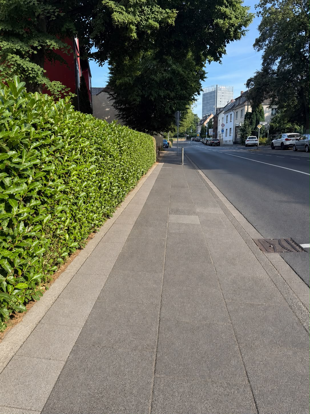 Gehweg entlang der Hecke — nachher