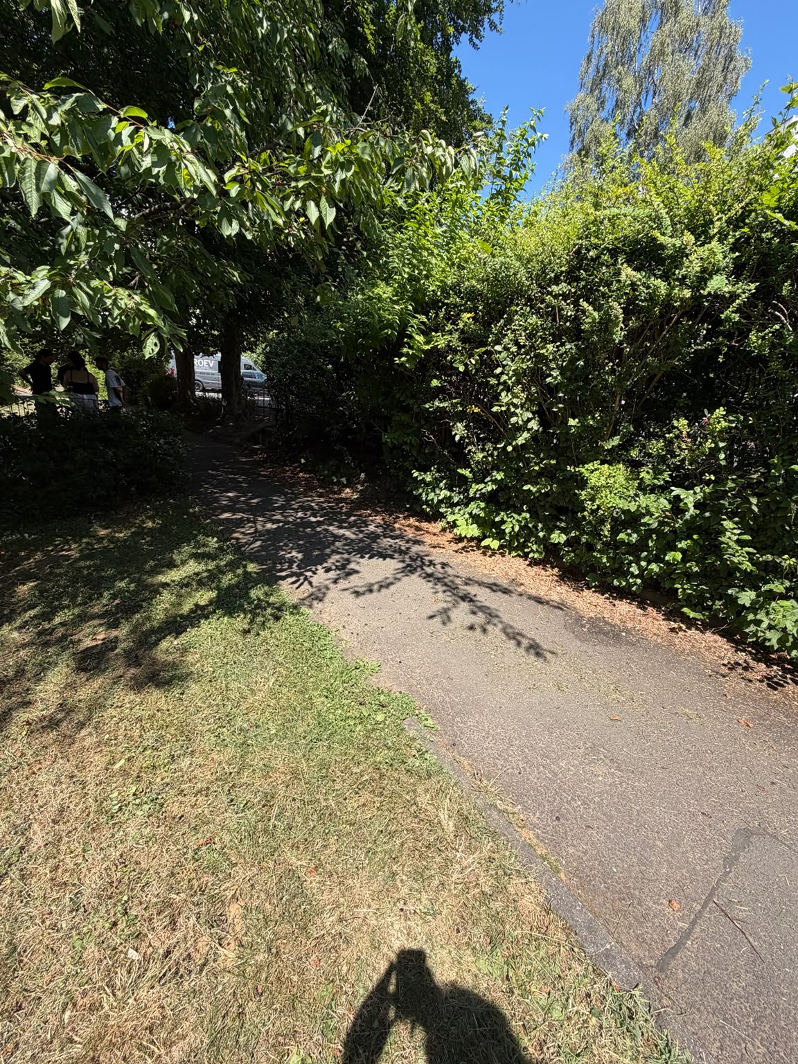 Hecke vor dem Pflegedurchgang — referenz