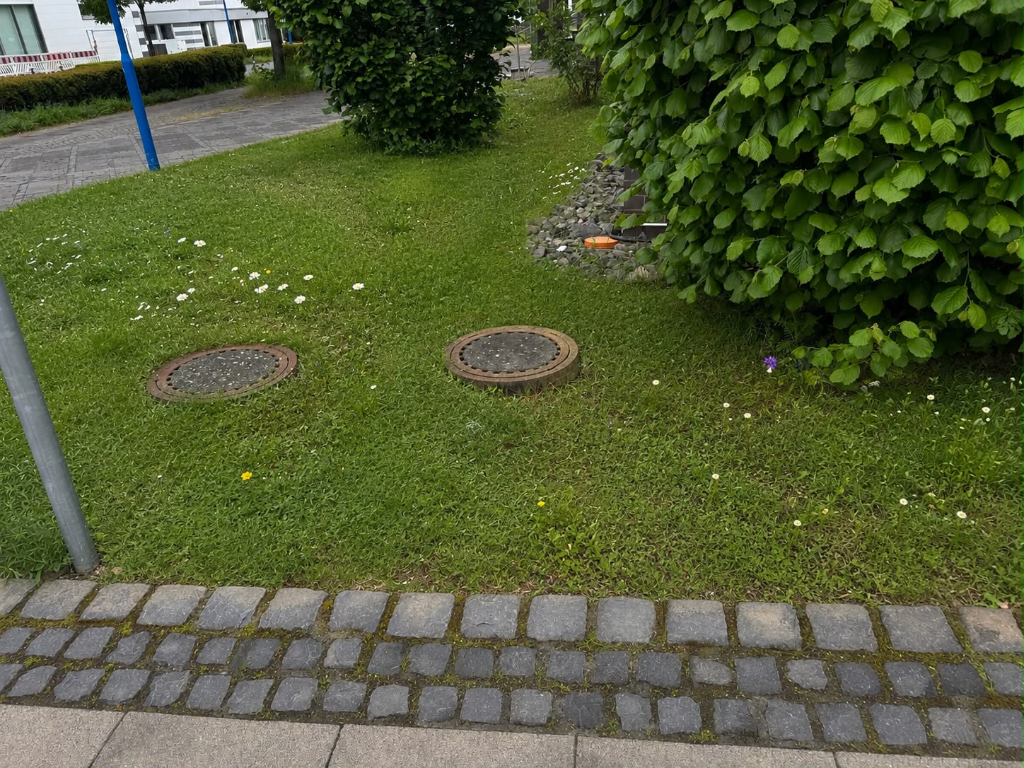 Grünanlagenpflege — nachher