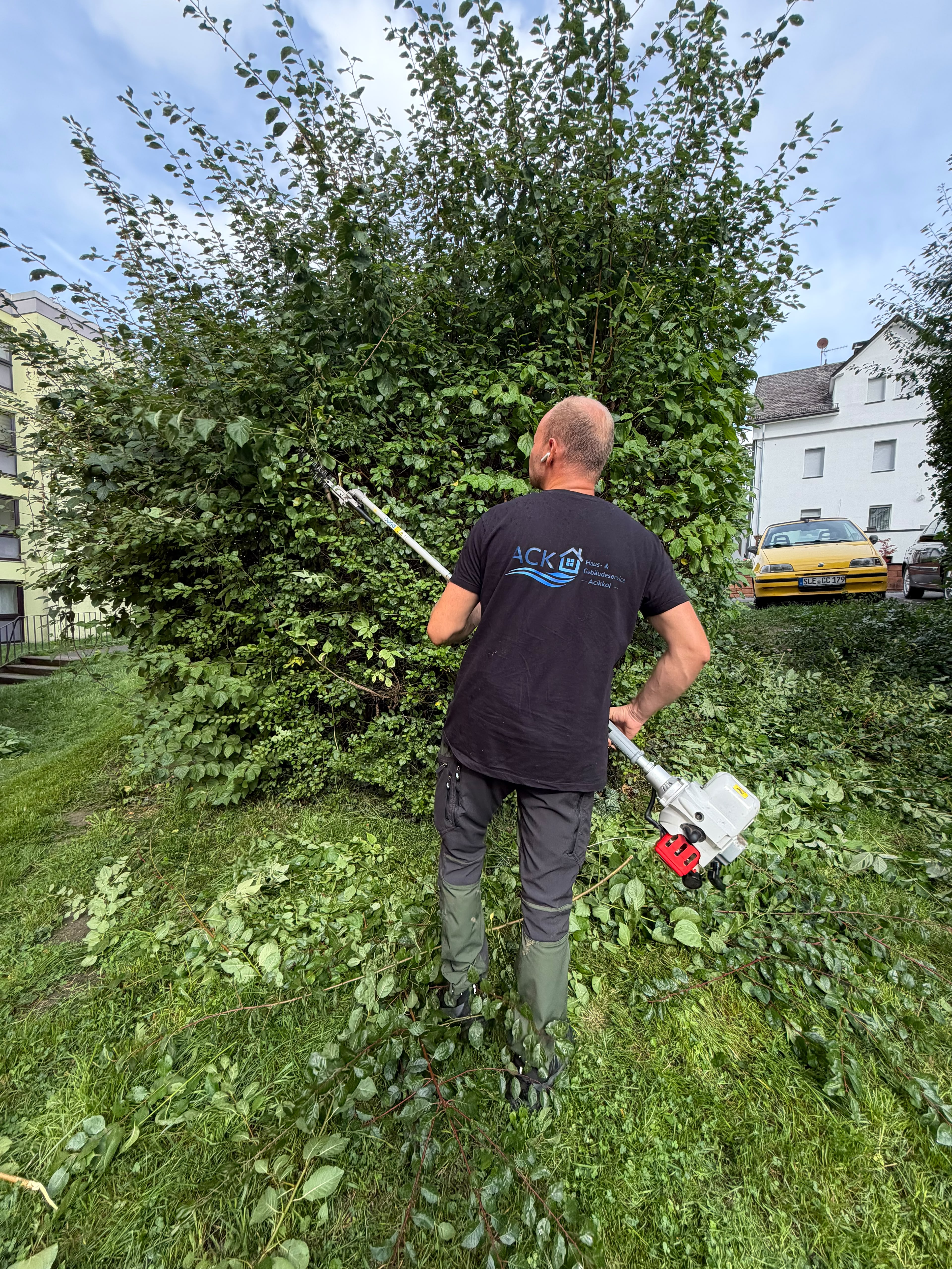 Heckenpflege im Einsatz — referenz