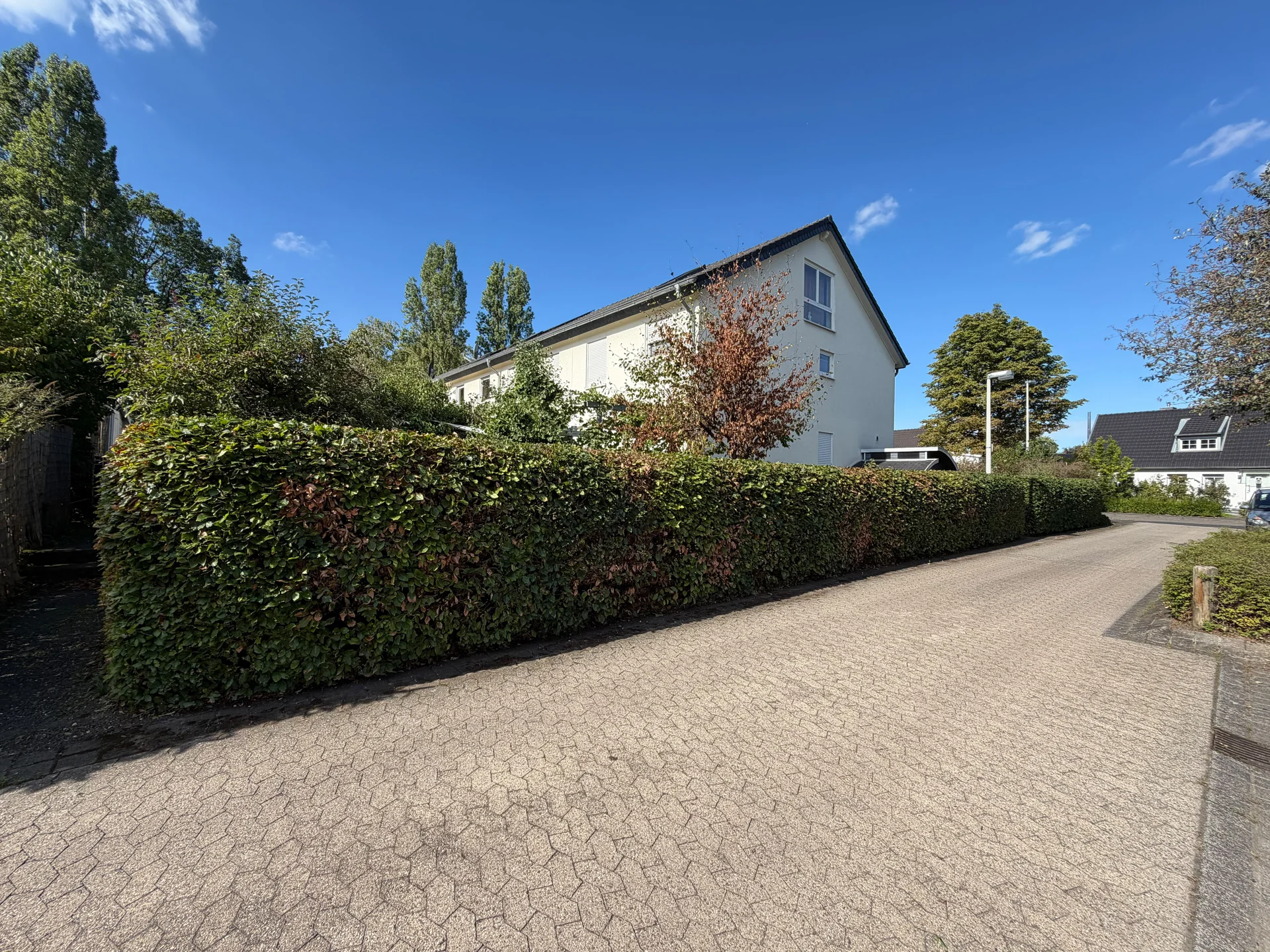 Heckenpflege entlang der Straße — referenz