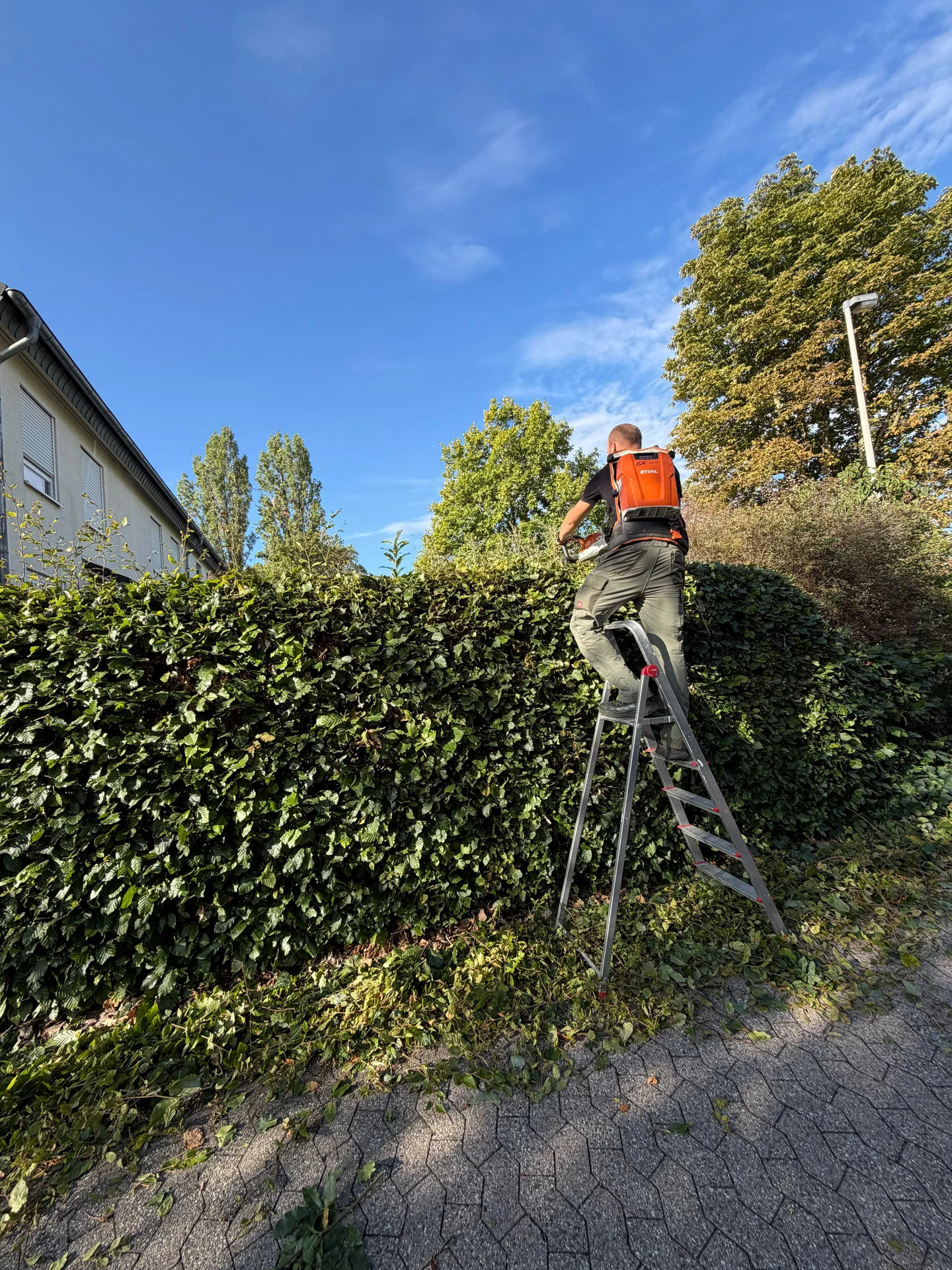 Unser Team beim Heckenschnitt — referenz